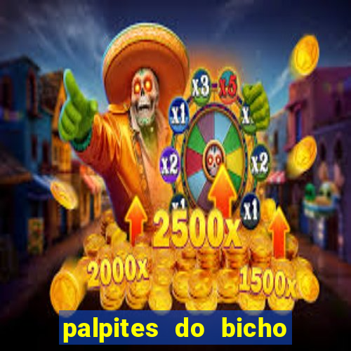 palpites do bicho no celular